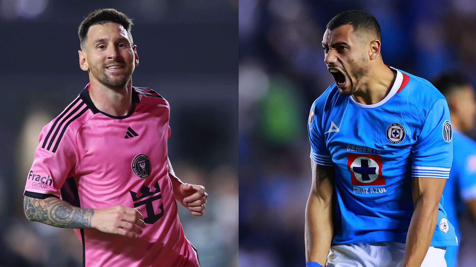 教科书式的 教科书式的