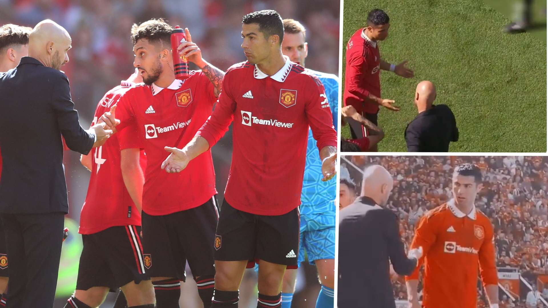 各自的優勢 各自的優勢