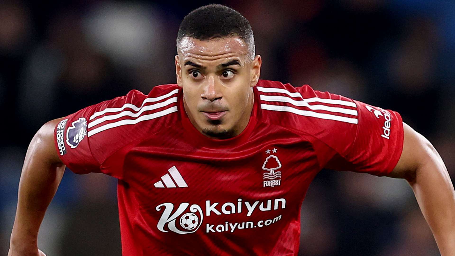 费尔南德斯 费尔南德斯